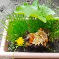 IMG_20200503_134520.jpg