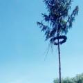 IMG_20200503_135929.jpg