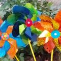IMG_20200501_201001.jpg