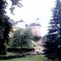 IMG_20200508_105952.jpg