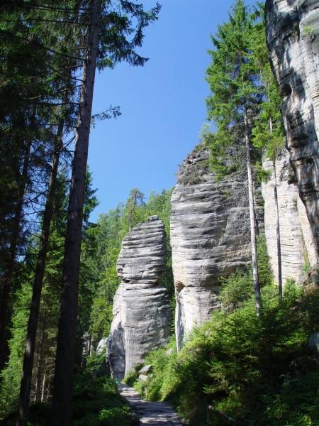 1_foto1.jpg