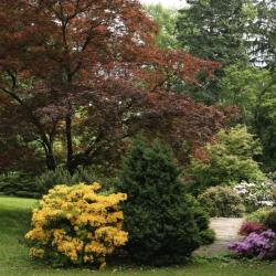 arboretum2.jpg