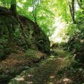 Bertino údolí v Ústí nad Labem