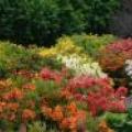 Botanická zahrada - Liberec