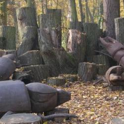 Broukoviště
