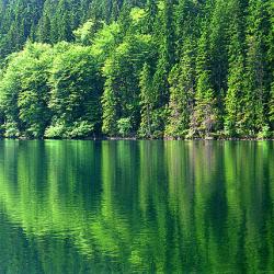 cerne-jezero-004.jpg