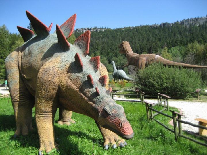 dino21-1024x768_f_improf_1024x768.jpg