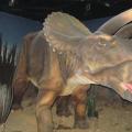 Dinopark Liberec