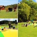 Farmapark Soběhrdy