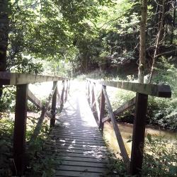 IMG_20160815_130908.jpg