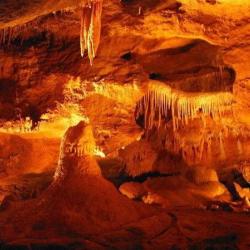 d124e43f-d7e1-421e-8467-27d7a905ea79_656_449_crop.jpg