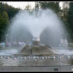 img.obrazky2.cz.jpg