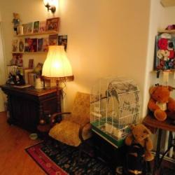 DSCN3781.JPG