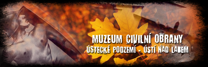 motive-nove kopie (1).png