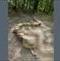 w_1_0017814_detska-naucna-stezka-na-rozhlednu-klucanina-brno-venkov_90.jpeg