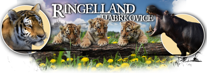 hlavicka.png
