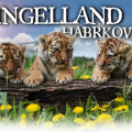 Ringelland Habrkovice