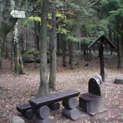 zaltman07.jpg