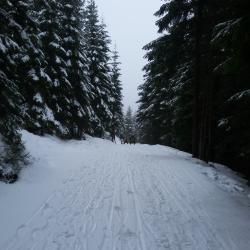20170223_101244.jpg