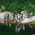 ZOO Zlín a zámek Lešná